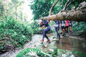 BIB: 
                            <button type="button" onclick="openModal(25463324)" class="btn btn-primary btn-sm float-right btn-popup" data-toggle="modal" data-target=".modal-high-quality">
                        <i class="fas fa-shopping-cart"></i> Add to Cart
                    </button>
                                            <button type="button" onclick="isThisMe(25463324, true)" class="btn btn-success btn-sm float-right btn-popup btn-isme hidden" data-toggle="tooltip" data-placement="bottom" title="นี่คือรูปของคุณใช่ไหม คลิกที่นี่เพื่อเอาเข้าอัลบั้ม">
                        <i class="fas fa-plus"></i> Add to album
                    </button>
                    <button type="button" onclick="isThisMe(25463324, false)" class="btn btn-warning btn-sm float-right btn-popup btn-isnotme hidden">
                        <i class="fas fa-ban"></i> Remove from album
                    </button>